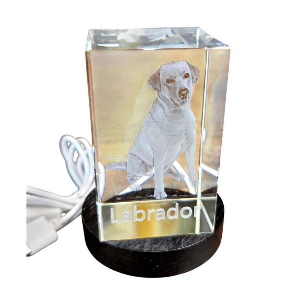 YouerCrystal Dog Memorial 3D Labrador Picture with LED Stand Engraved Crystal C1